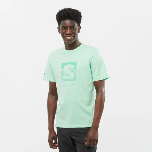 Mint Salomon Outlife Logo Short Sleeve Men's T-Shirts | PH 85024W